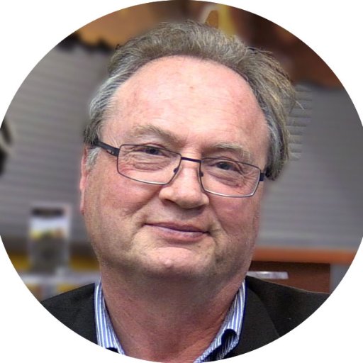 BertolaGeorges's profile picture. 