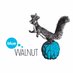 Blue Walnut Design (@bluewalnut1) Twitter profile photo Blue Walnut Design (@bluewalnut1) Twitter profile photo