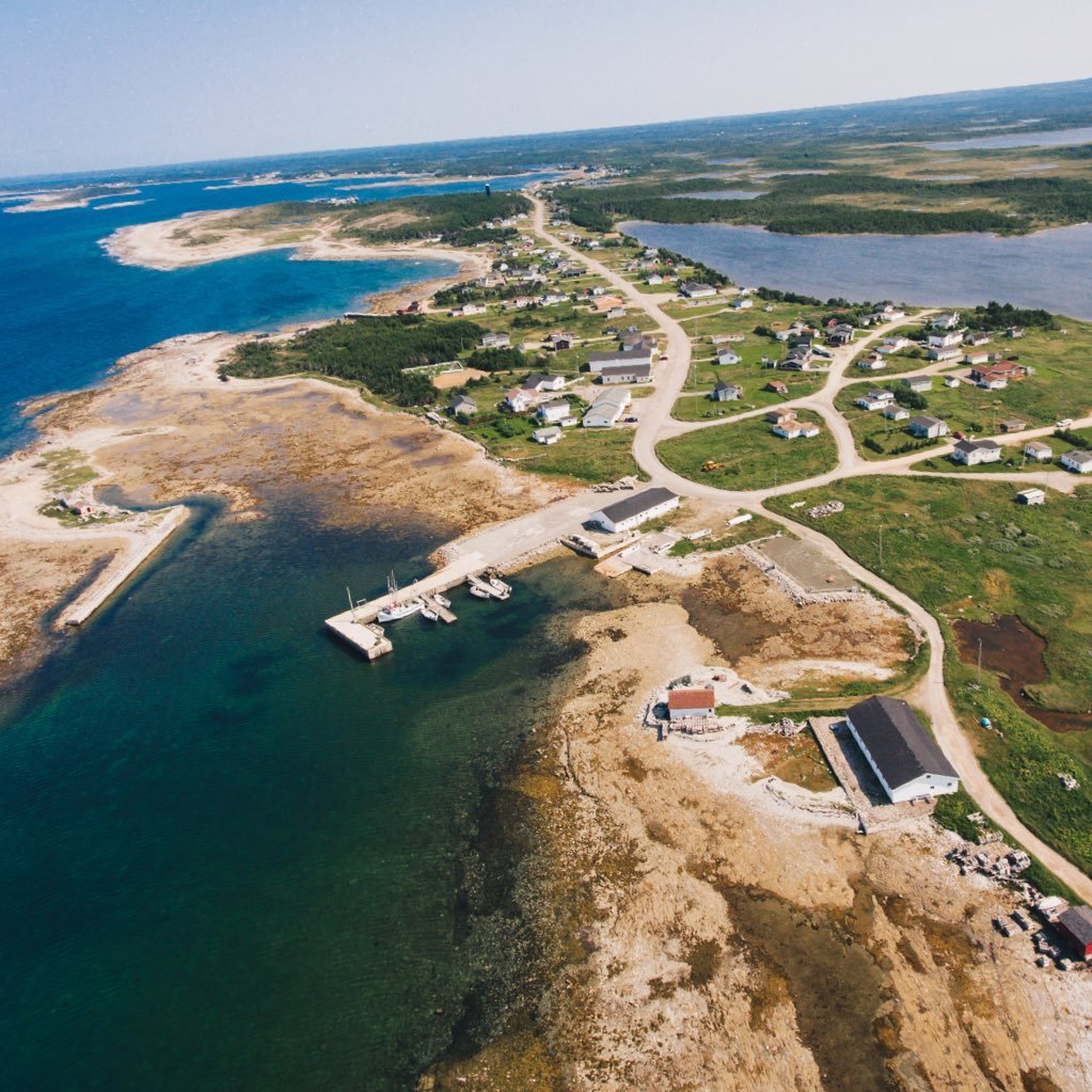 Town Of Bird Cove Profile