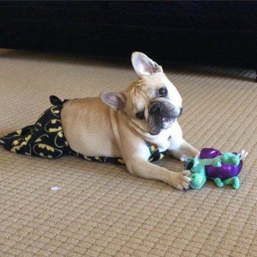 farouk1005's profile picture. 