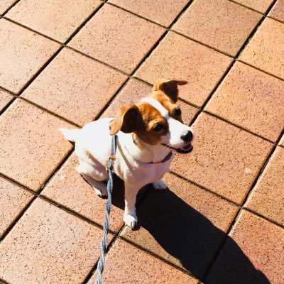 nino_june's profile picture. 気がつけばアラフォーではなくリアル40代。お仕事は経営管理全般。ひたすらゴルフを練習し、勤人としては最高頻度でラウンドにいそしむ。