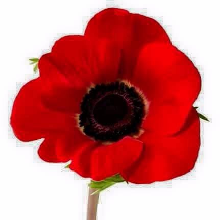 storey_12's profile picture. Personal account of author Jenni Stand.
Job Description: I develop criminal schemes for money.
Occasionally burst into conversations about murder.