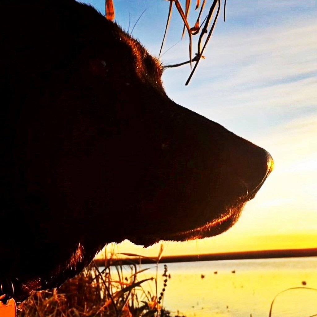 TeeEvans's profile picture. 