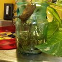 Jenifer Duncan - @Jenifer29659007 - Twitter