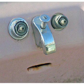 foitan_'s profile picture. nope