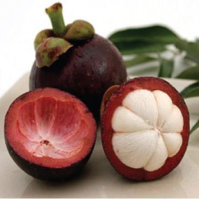 Q_Mangosteen's profile picture. 