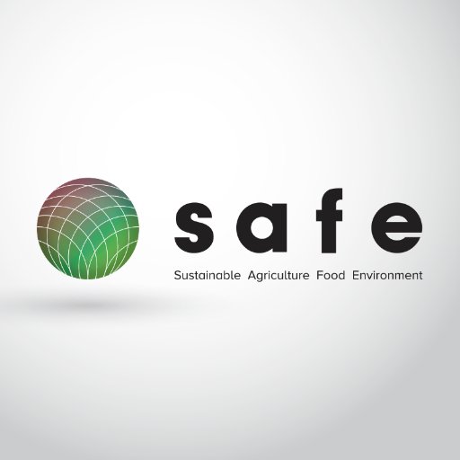 SAFE Platform Profile