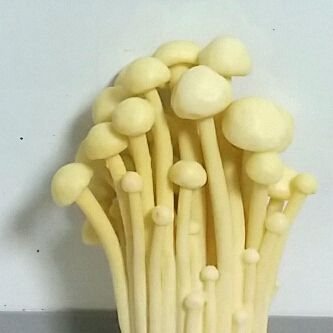 pfkinoko's profile picture. ご飯とゴジラとお布団が好き。雪見だいふく美味しいね。シュトーレンを与えると喜びます。