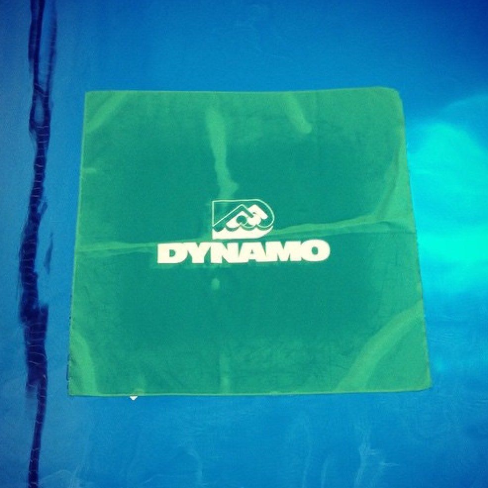 Dynamo Swim Club