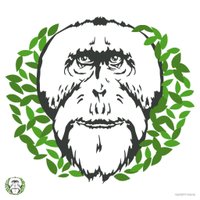 Orangutans of Suaq(@SuaqOrangutans) 's Twitter Profile Photo