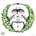 Orangutans of Suaq (@suaqorangutans) Twitter profile photo Orangutans of Suaq (@suaqorangutans) Twitter profile photo