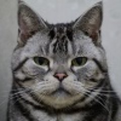 a12601260's profile picture. 地元でまったり撮り鉄です。
マンネリ写真量産中です。