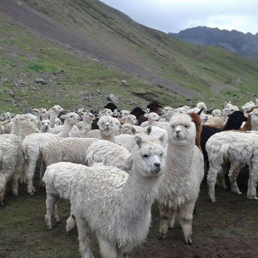 commediaddictes's profile picture. Deux étudiantes de comm et médias 😎 Partageons nos savoirs ensemble