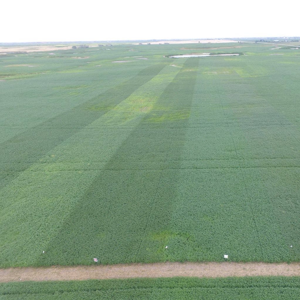 Senior precision agronomist with Croptimistic Technology in southern SK, Pioneer Hi-Bred rep