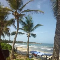 Anselma Navas (@anselmanavas) 's Twitter Profile