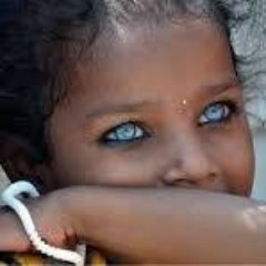The Waters of Noah is the first novel of the Annuals of Heaven Series, replacing the Children of the Sea which was stolen from the author. t.l.elyse@gmail.com
