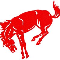 OHS Library (@broncholibrary) 's Twitter Profile