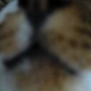 いずみん - @solomon_key - Twitter