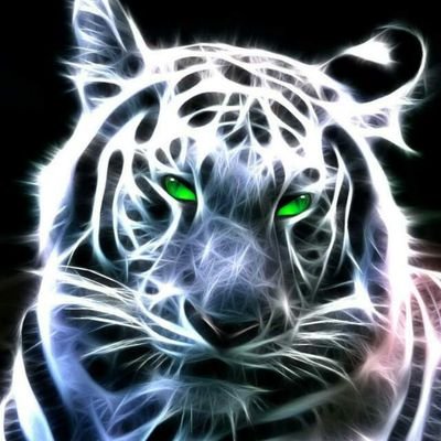 quickwins2n3di1's profile picture. 