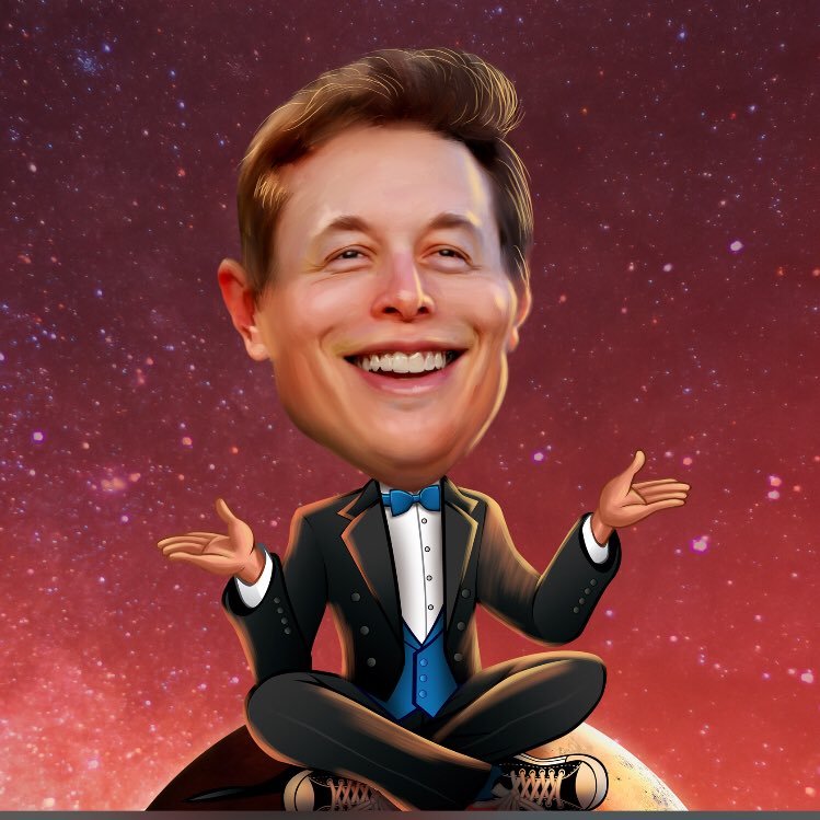 elonmuskvision