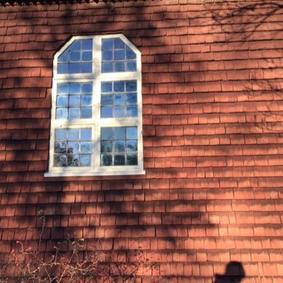 Leoncarkat's profile picture. 