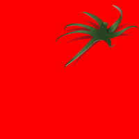 tokensalad's profile picture. 