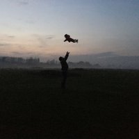 Alex Scott-Whitby (@alexscottwhitby) 's Twitter Profile Photo
