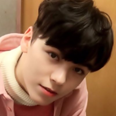 h4n_ren's profile picture. 🌸; the soft stan. 💕 #세븐틴 #펜타곤 #방탄소년단 #엑소 🌼 한솔; I would wait a whole eternity if at the end I'll see your smile. ♡