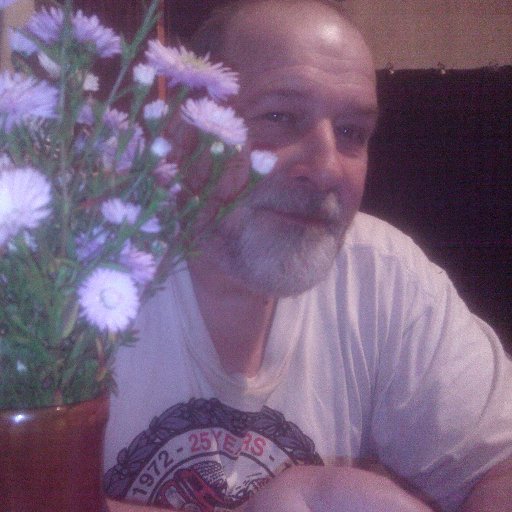 niknikkon7's profile picture. 