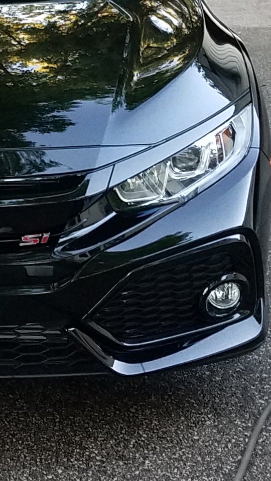 _ChinStrap's profile picture. 