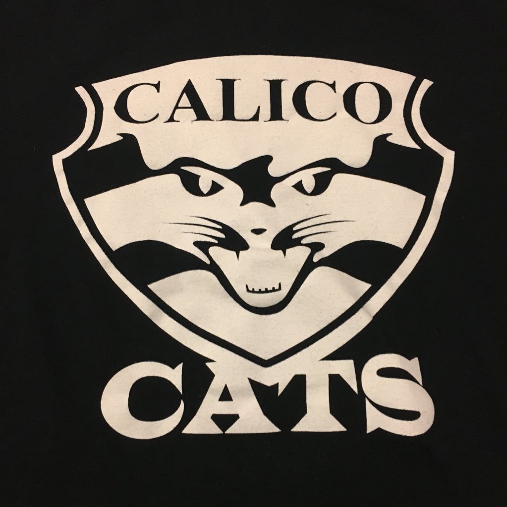 Calico Public School is a kindergarten to grade 5 school in the TDSB. This account is not monitored 24/7.