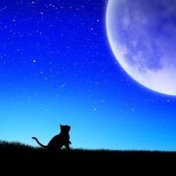 marimari_fp's profile picture. flumpool垢！！全国のpoolerさんと繋がりたいです！！INTERROBANG?!会員！これからもずっと応援( ･ᴗ･ )⚐⚑⚐゛