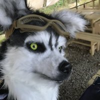 白まんじゅう (@ninja07_02) 's Twitter Profile