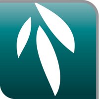 Willow Tree Primary (@willowtreepri) 's Twitter Profile