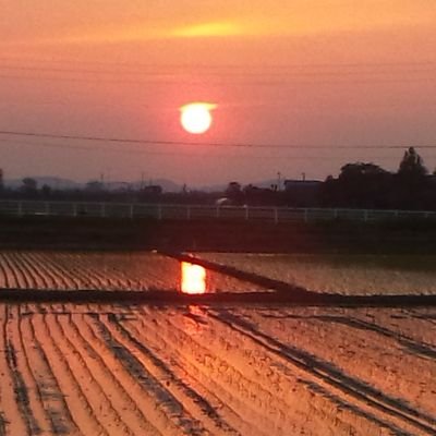 oIxSjgI0dHA3ZOu's profile picture. 円お願いします