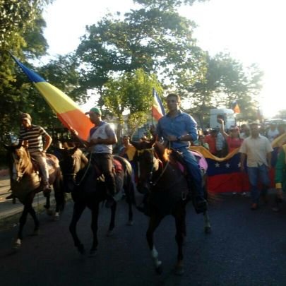 Venezolano y vinotinto 100%