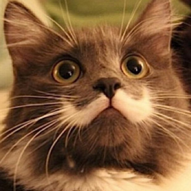 MrArrowroot's profile picture. Preferred beverage: Earl grey, 2 sugars, 1/4 milk, stirred whilst pondering the point of life and gazing mindfully upon Da Vinci's The Last Supper.