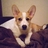zuke0405's profile image