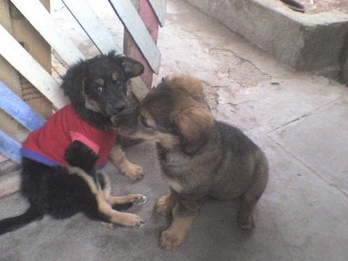 magialiuz's profile picture. 