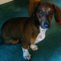 Cassie maharrey (@cassie_maharrey) 's Twitter Profile