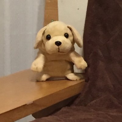 hayashisyuuji's profile picture. ITCE 教育情報化コーディネータ2級   教育著作権検定　s認定