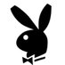 NUSAYBİN SİKİCİSİ (@nsbjigolo) Twitter profile photo NUSAYBİN SİKİCİSİ (@nsbjigolo) Twitter profile photo