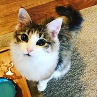 Sally D. Wolfson (@sallydwolfso) 's Twitter Profile