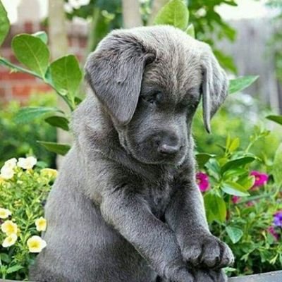 TA_Webb's profile picture. Psalm 19:14