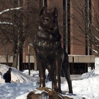 Charge Nurse Emergency (retired), widow, 2 amazing sons, and 3 huge furry pups