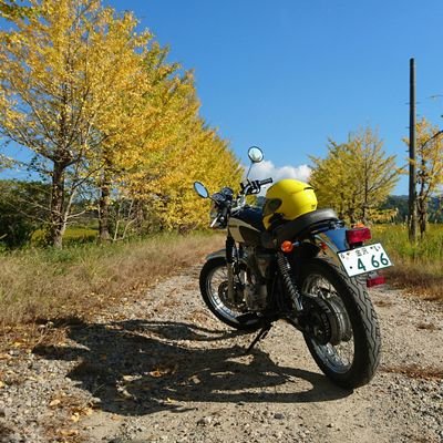 初心者🔰でCB400ssに乗り始めました〜
バイク楽しい🎶
いつか自分のバイクのイラスト書いてみたいな〜