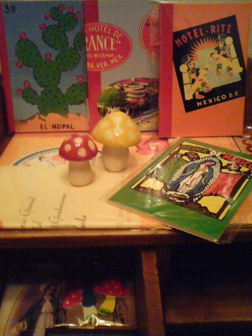 ayakonbu087's profile picture. MOSHI MOSHI!! KINOKO　KINOKO　SAN！！
ラビ・ラビ・ラビ・ラビ・ラビ！！