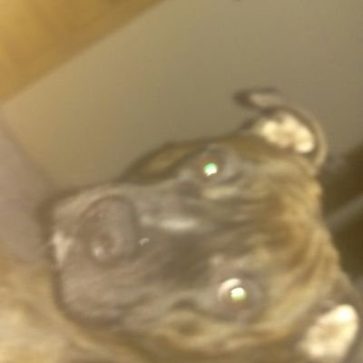 seddon_94's profile picture. 