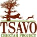 Cherie Schroff (@tsavocheetah) Twitter profile photo Cherie Schroff (@tsavocheetah) Twitter profile photo