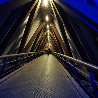 LukasJoraschek's profile picture. 
